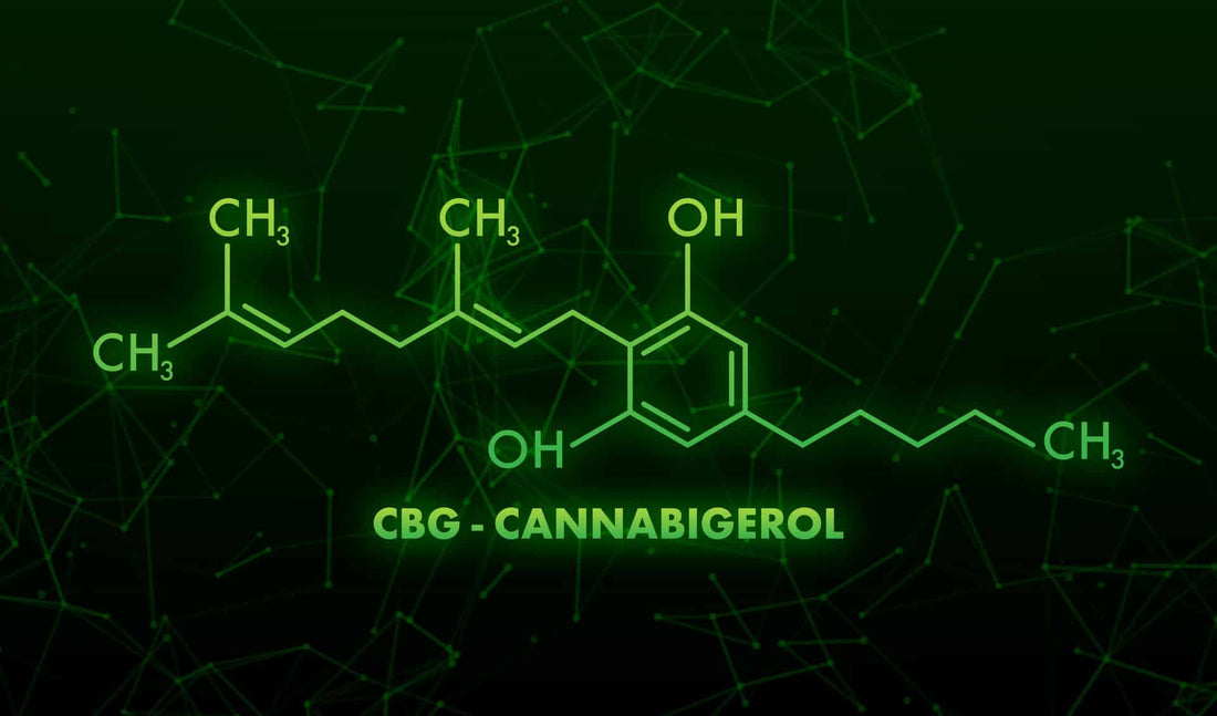 What is CBG? Unlocking the Potential of Cannabigerol